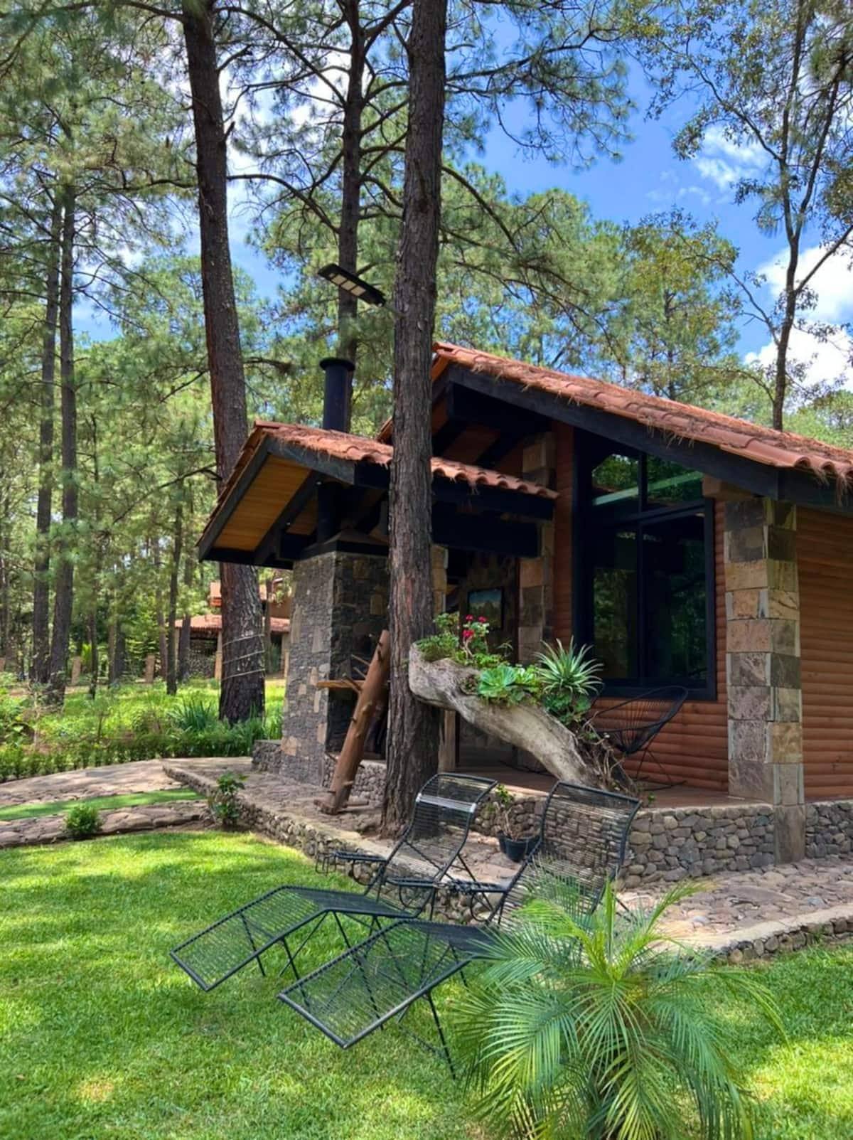 Suite Tigre Romántica · Tapanko · Bosque