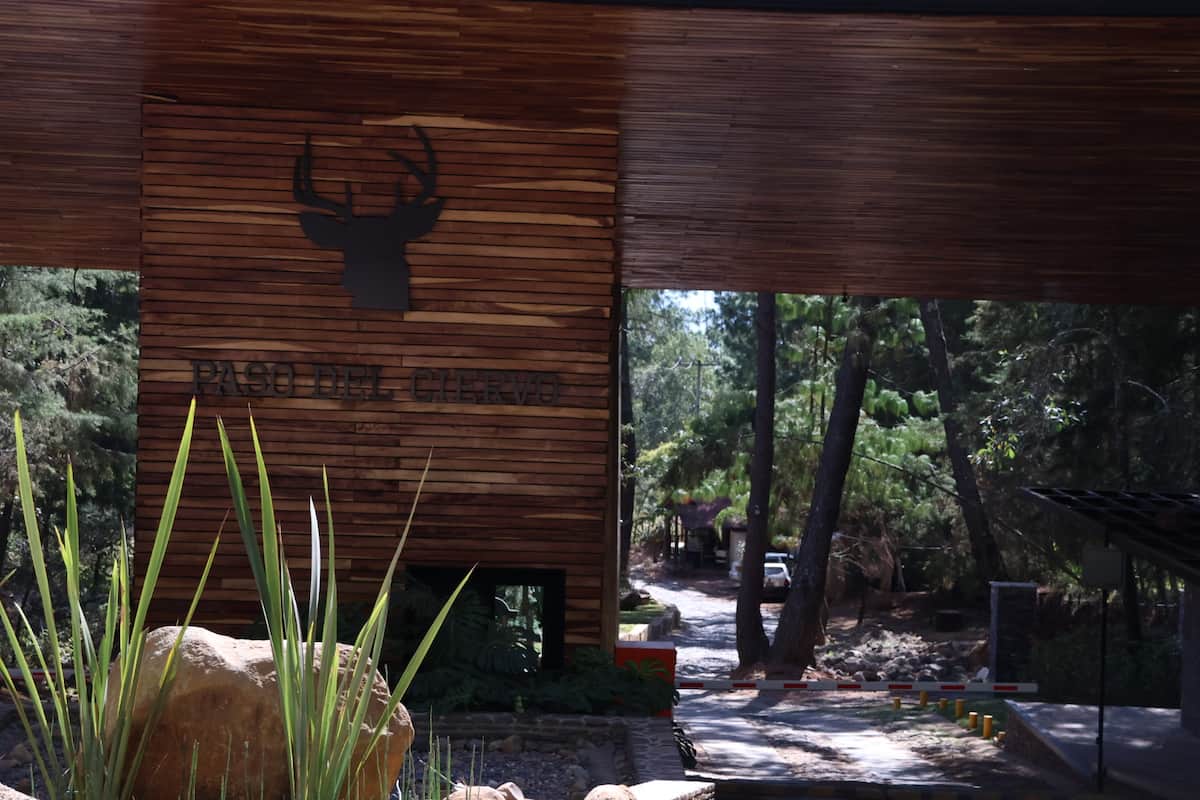 Suite Tigre Romántica · Tapanko · Bosque 3