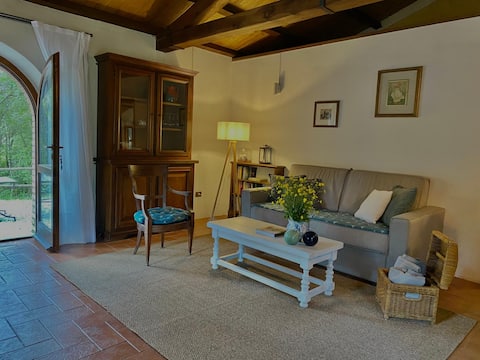 Top performing Airbnb: Forest Oasis of Peace: Stone Cottage with Jacuzzi in Castagneto Carducci