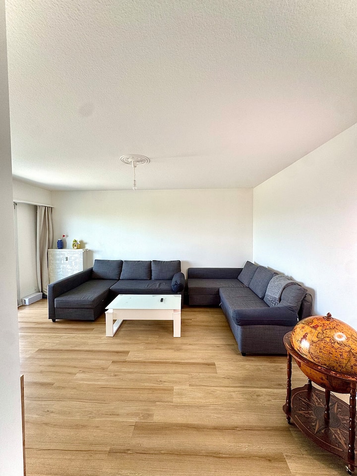 Basel Panorama View - Basilea