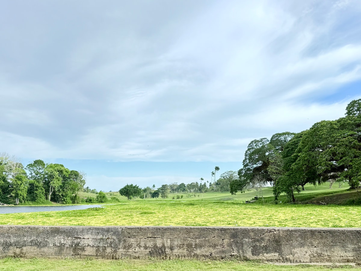 A spacious outdoor area is shown, featuring a grassy expanse bordered by a low stone wall. Lush trees and greenery are visible in the background, alongside an expanse of water reflecting the sky. Soft clouds drift above, creating a serene landscape.