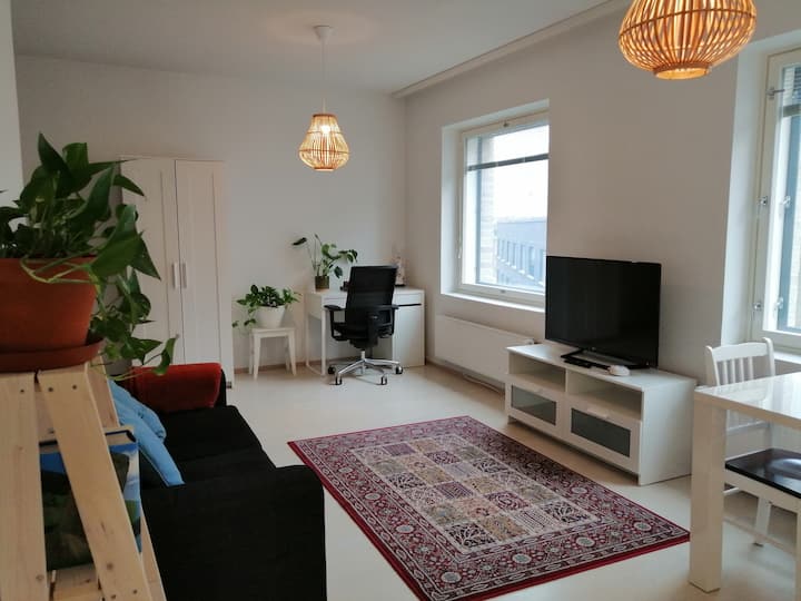 1 Br Apart. About 10 Min. Walk To Helsinki Centre - Helsinki