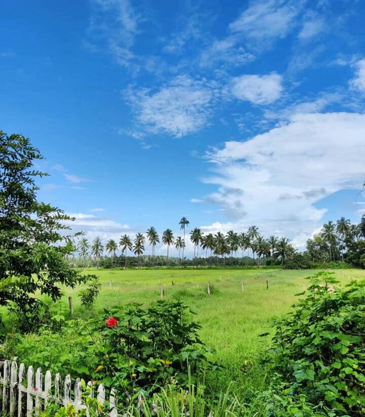Listing image 70
