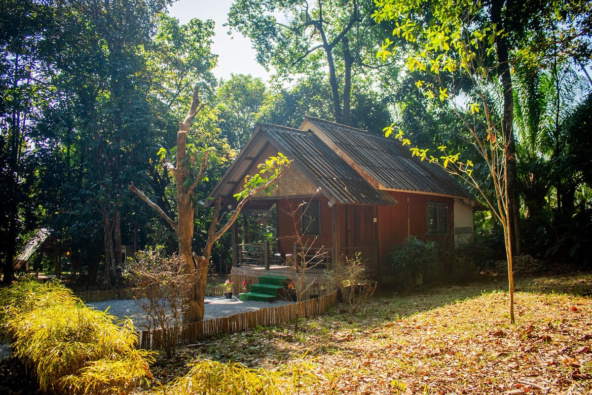 A homestay nestled among lush, natural greenery is depicted, featuring a wooden exterior and a gently sloped roof. A small porch with a staircase leads to the entrance, surrounded by various trees and shrubs. A peaceful, open area is present in the vicinity.