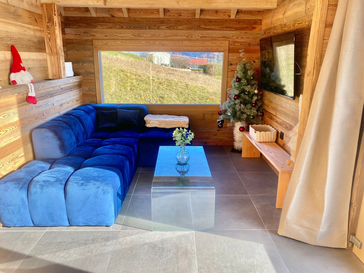 Successful Airbnb property: Eden Chalet - La Bresse in La Bresse
