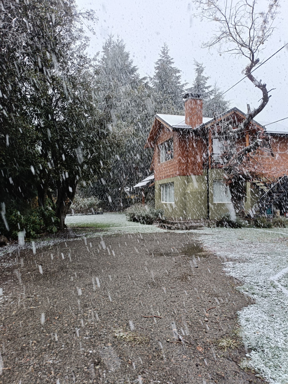 A spacious home is seen from outside during a snowfall, with flakes gently falling around it. The surroundings feature a garden area, while snow covers the ground and branches lightly. Tall trees frame the property, creating a serene winter atmosphere.