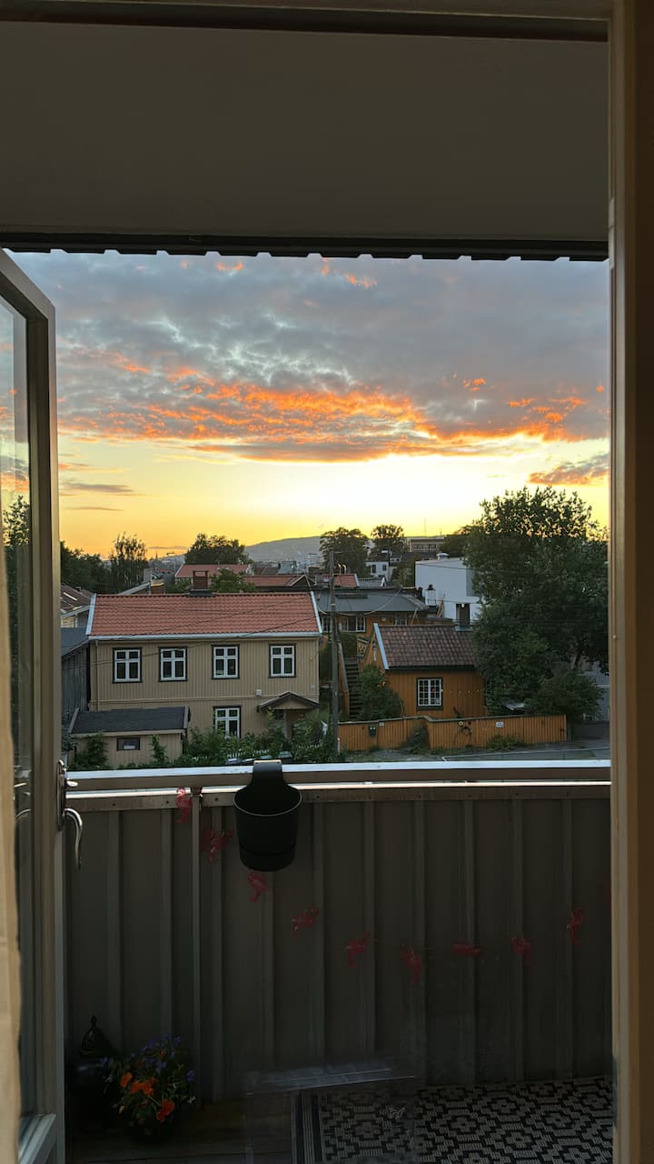 Utsiktsleilighet Med Parkering - Oslo