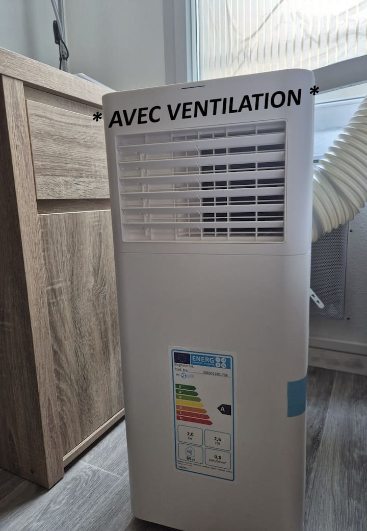 Le Charpennes Avec Climatisation - Villeurbanne