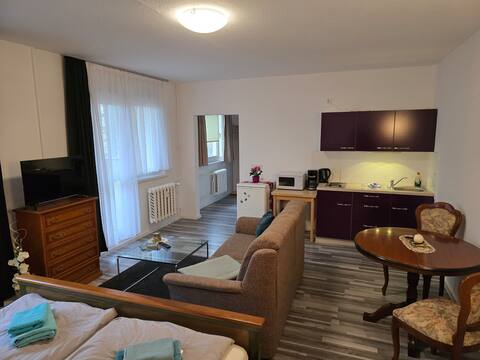 Leistungsstarkes Airbnb: Apt. 5 Palmental 2303 in Cottbus