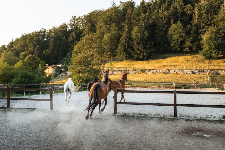 The Laz Estate | Apt Jelka For 2 Guests | Sauna - Nova Gorica