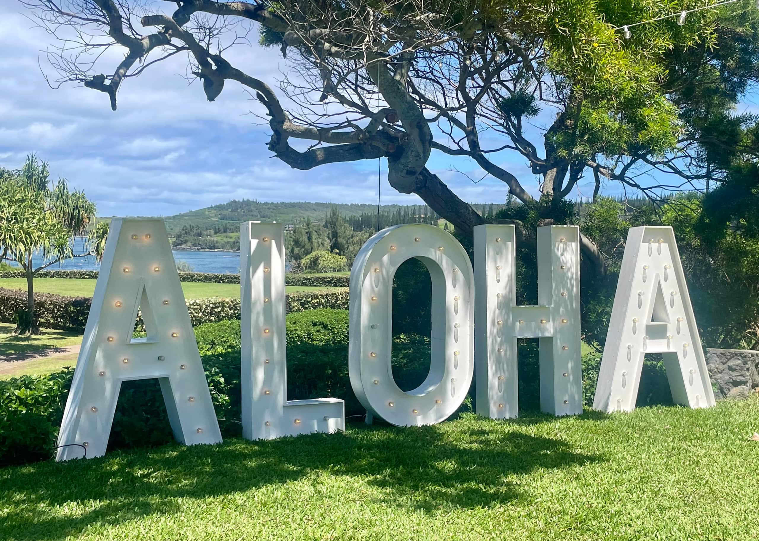 Townhouse in Kapalua · ★4.96 · 1 bedroom · 1 bed · 2 baths - Image 63