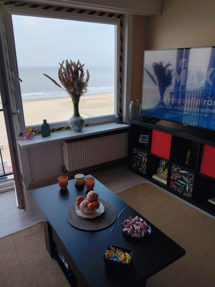 Ruime Studio Met Zeezicht - Blankenberge