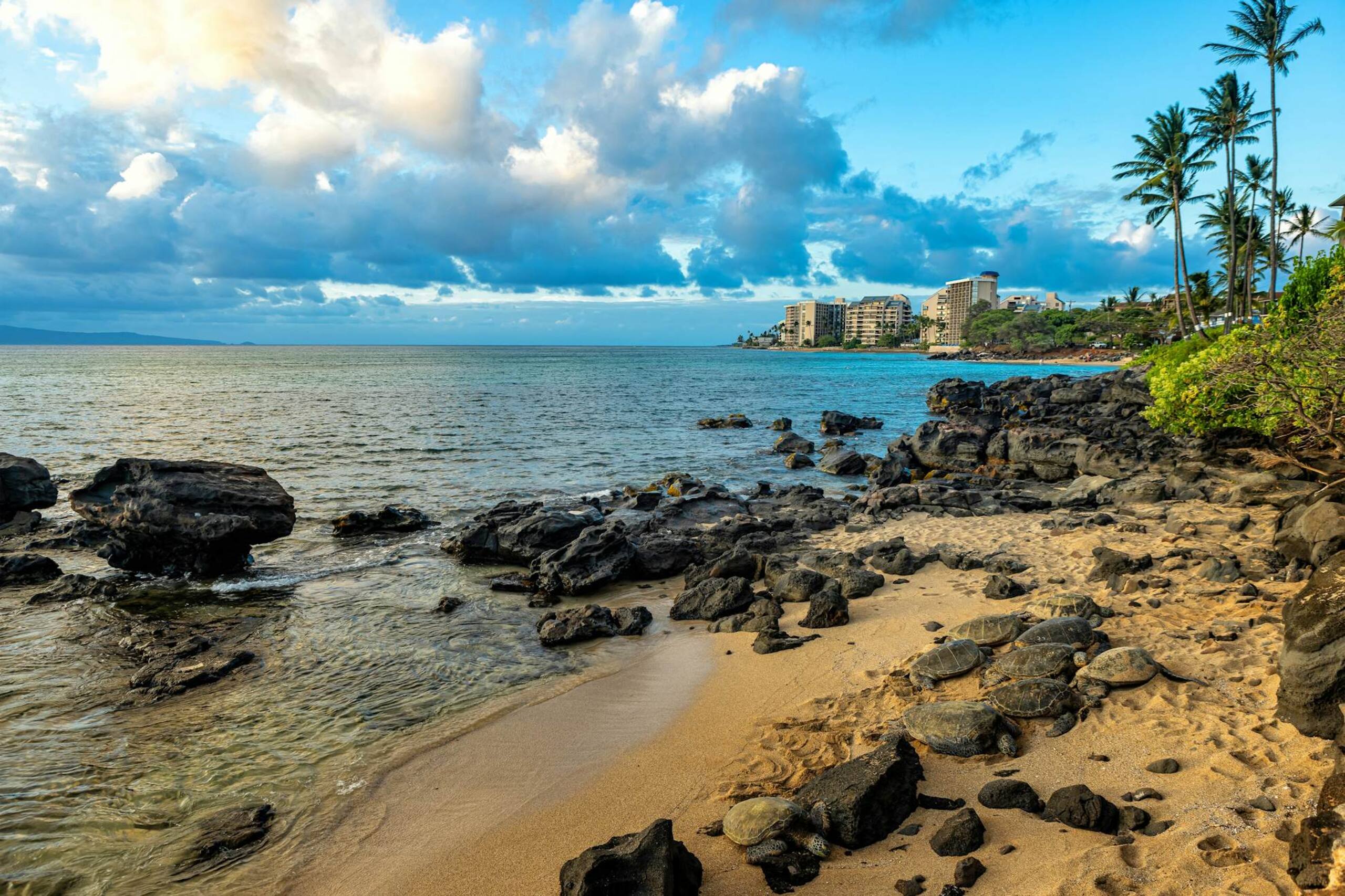 Condo in Lahaina · ★4.33 · 1 bedroom · 2 beds · 1 shared bath - Image 25
