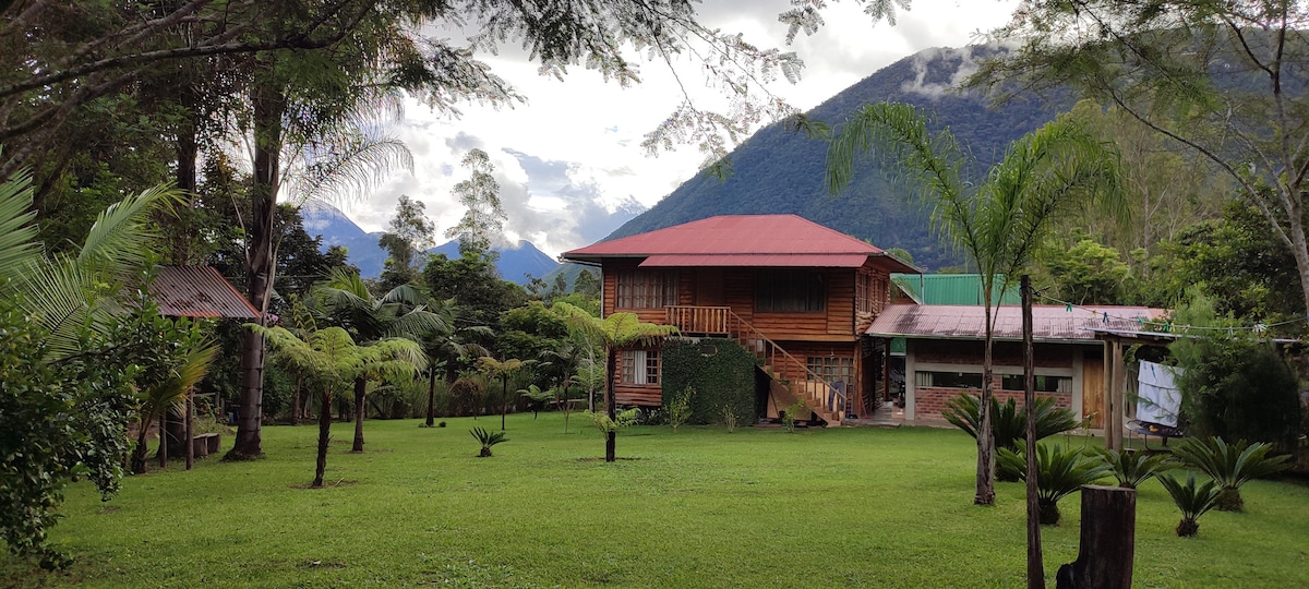 A charming wooden cabin is set amongst a lush green lawn, surrounded by tall trees and tropical plants. The two-story structure features a red roof and large windows, with mountains visible in the background under a cloudy sky.
