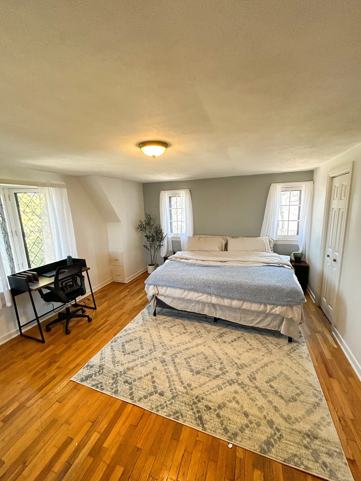 A spacious room contains a large bed layered with soft bedding, flanked by light-filled windows. A dedicated workspace with a chair and desk is positioned nearby. A neutral area rug adds warmth to the wood floor, while greenery is displayed in a corner.