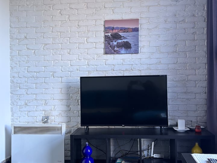 Low Budget Comfort In Town - Podgorica