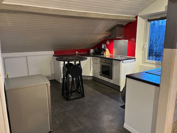 Appartement 1 Chambre - Saint-Étienne