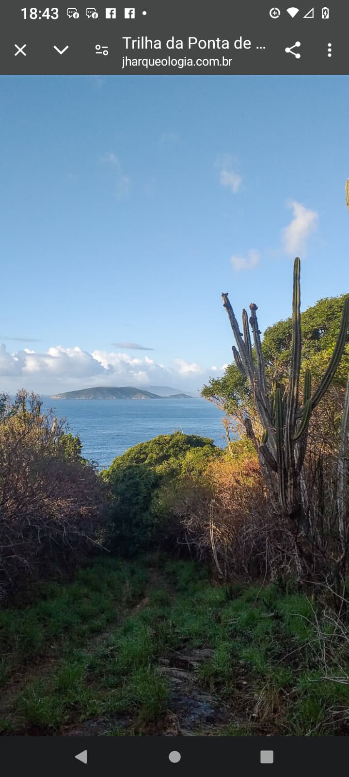 Imazhi 1 i shtëpi 150 metra larg plazhit