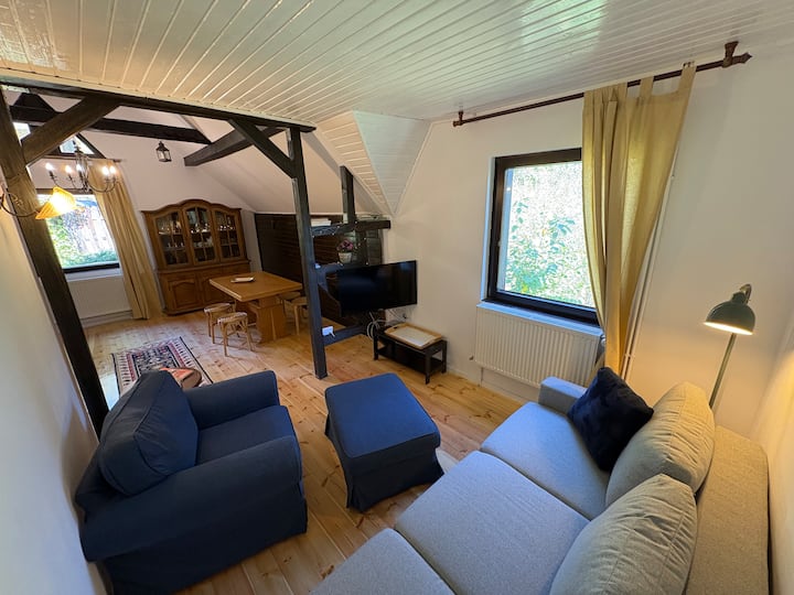 Casa Vulturilor - Entire Cottage (10 Persons) - Sinaia