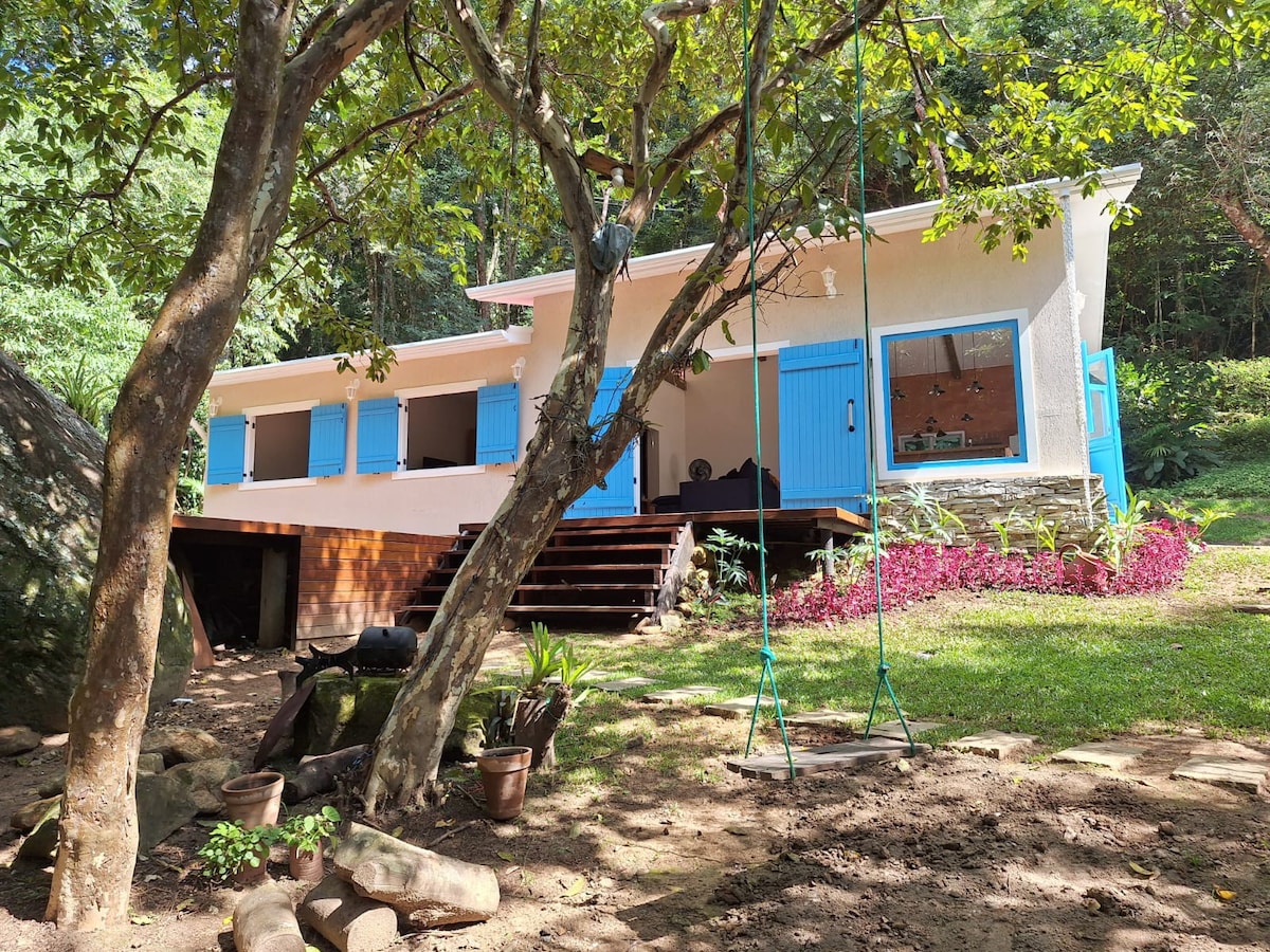 A modern house is nestled among trees, featuring bright blue shutters and a wooden deck. A swing hangs from a sturdy tree branch, surrounded by lush green grass and colorful plants. Natural rocks and pots are placed throughout the inviting outdoor space.