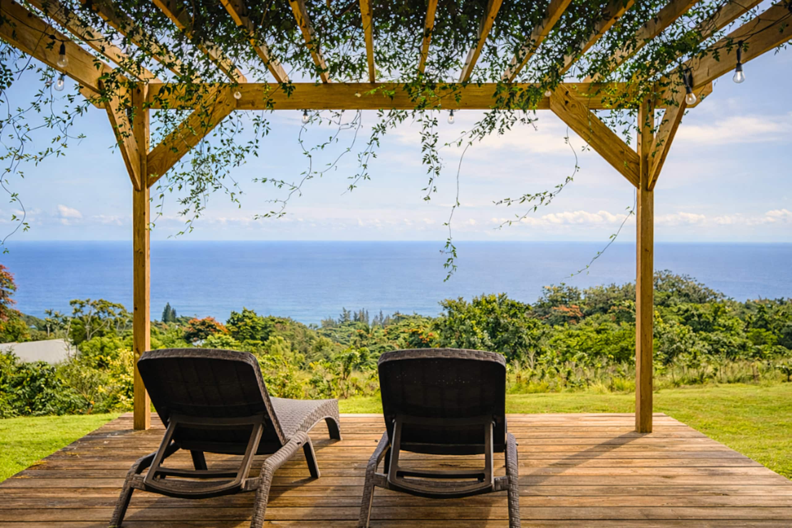 Farmhouse Estate Ocean Views, Sunrise & Waterfalls - Photo 53