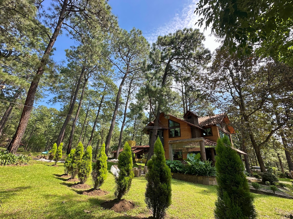 A wooden cabin is nestled among tall pine trees, surrounded by lush green grass. The cabin features multiple large windows and a spacious porch that offers a glimpse of the serene forest. Neatly trimmed shrubs are visible in the foreground, enhancing the natural landscape.