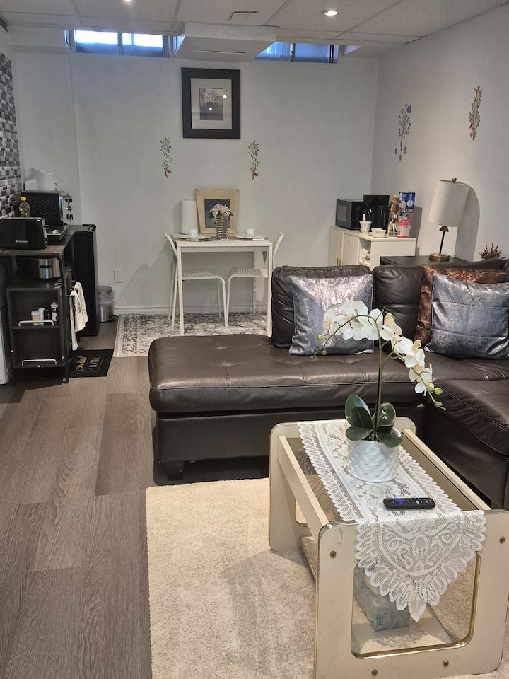 Toda la habitación, vista de entrada 