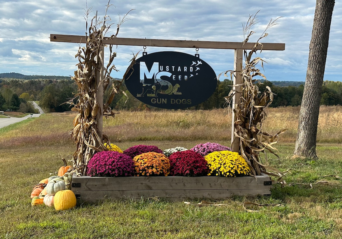 A welcoming sign for Mustard Seed Lodge is presented, framed by tall stalks of corn. A vibrant display of chrysanthemums in shades of purple, yellow, and orange is arranged at the base, complemented by several pumpkins. The background features an expansive view of rolling hills.