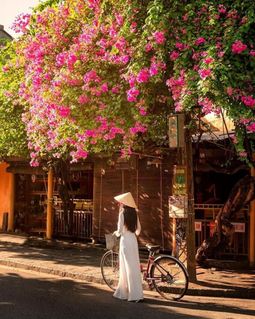 A woman in traditional attire stands beside a bicycle, framed by vibrant pink bougainvillea. The lush foliage complements the warm tones of nearby buildings, creating a lively, inviting scene in a bustling street.