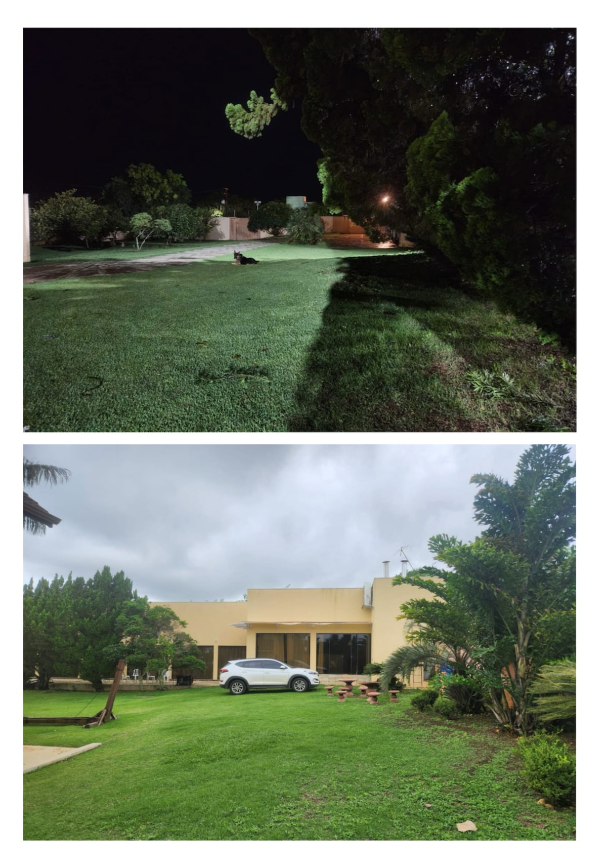 A spacious outdoor area features well-maintained green grass and various trees, providing a serene setting. In the upper image, a small animal is visible in the grass at night. The lower image depicts the house with a vehicle parked in front and a garden with lush plants.