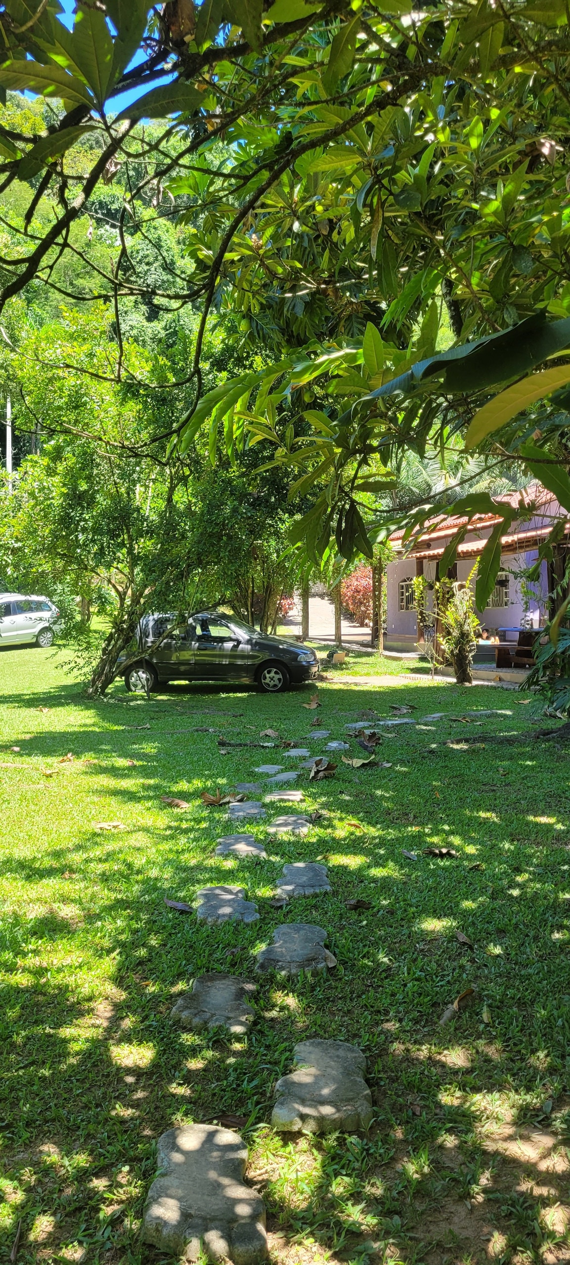 A stone path leads through a lush green lawn, bordered by trees. A parked car is visible along with the exterior of the property, which features a covered porch. Sunlight filters through the leaves, casting gentle shadows on the ground.