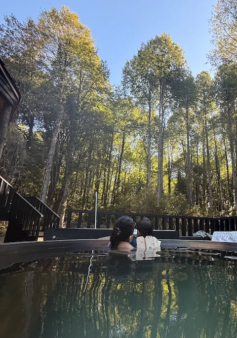 Casa Alberi, Huilo-Huilo Reserve (8 people)