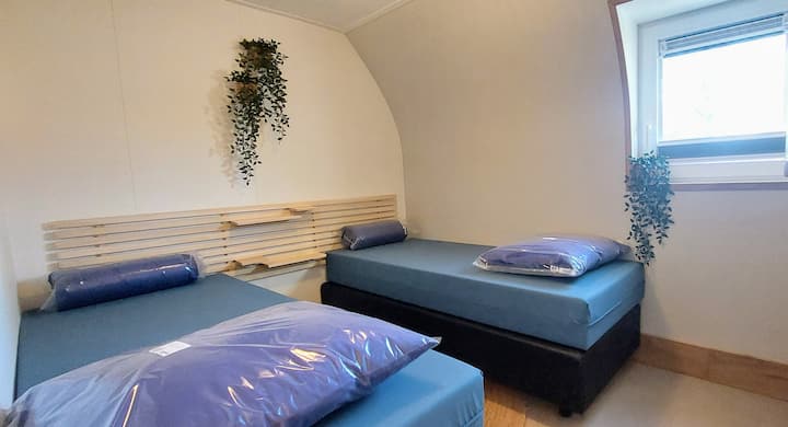 Habitación 2