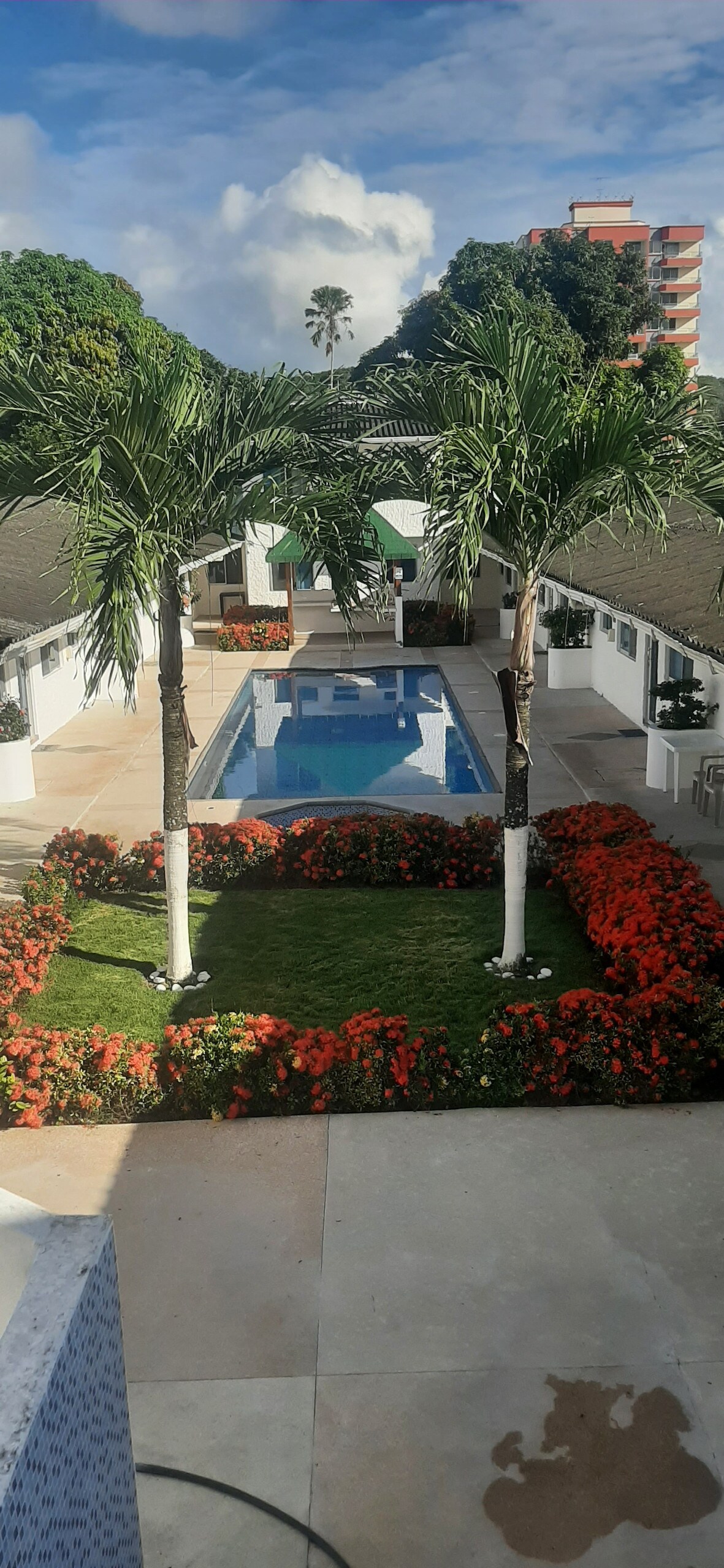The image depicts a well-maintained outdoor area featuring a long swimming pool framed by lush greenery and vibrant flowers. Tall palm trees stand on either side of the pool, while a seating area is visible in the background, contributing to a serene atmosphere.