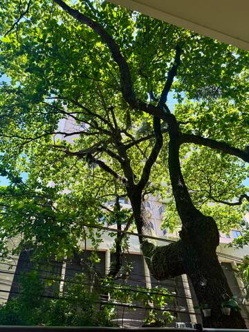 2 Quartos no melhor do Leblon p/ até 6 pessoas. gallery image 4