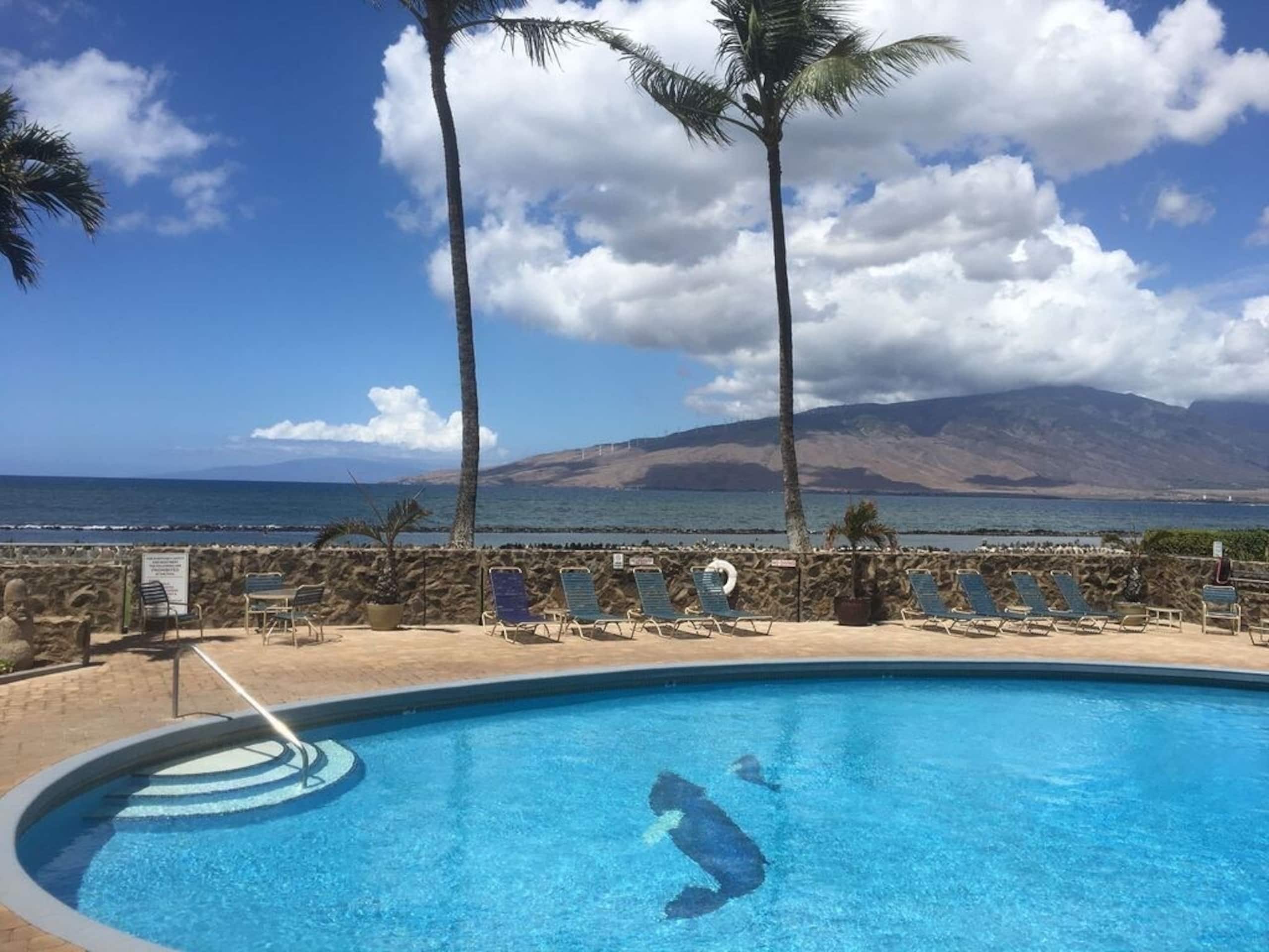 Condo in Kihei · ★4.89 · 2 bedrooms · 3 beds · 2 baths - Image 1