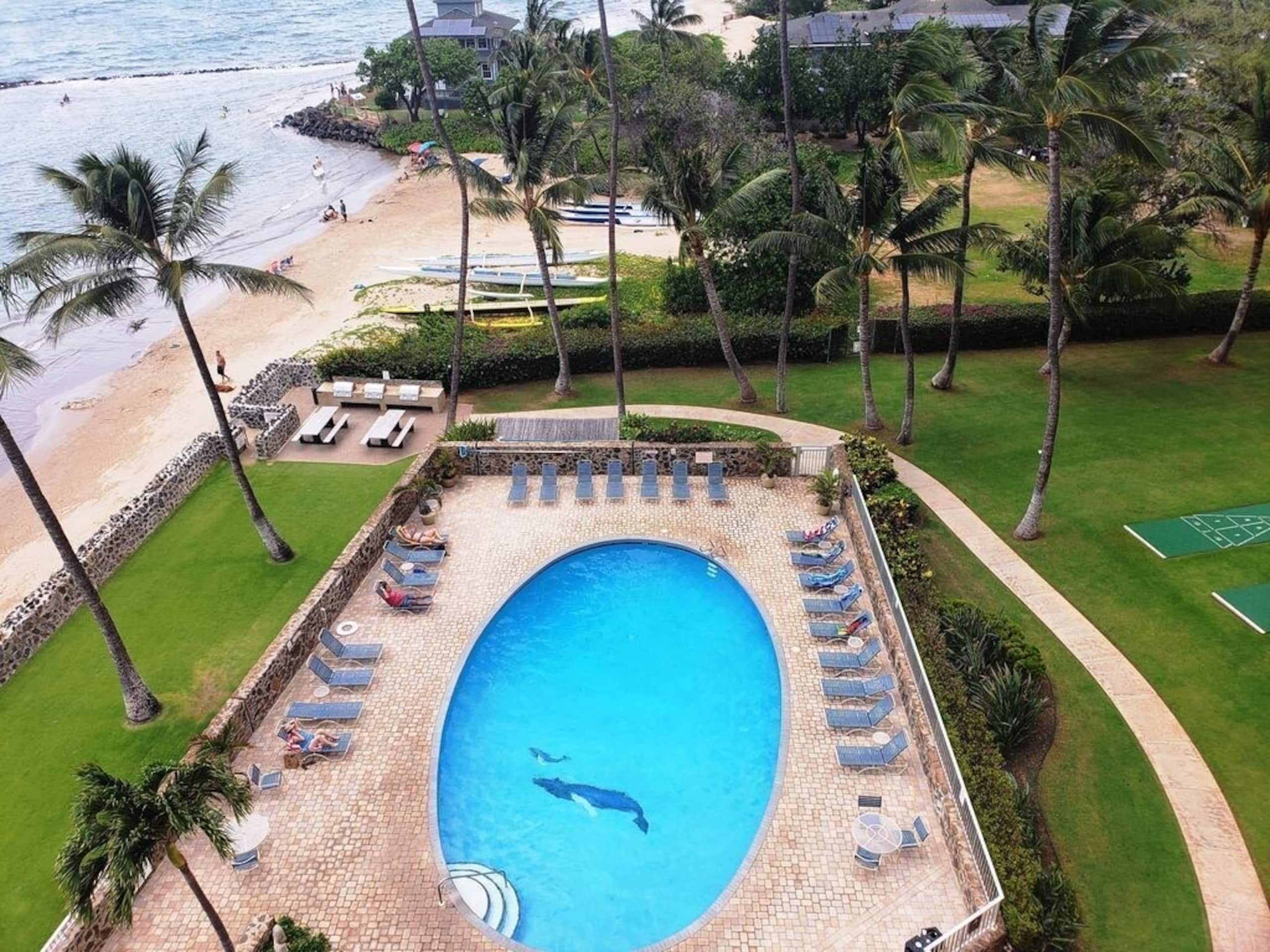 Condo in Kihei · ★4.89 · 2 bedrooms · 3 beds · 2 baths - Image 45