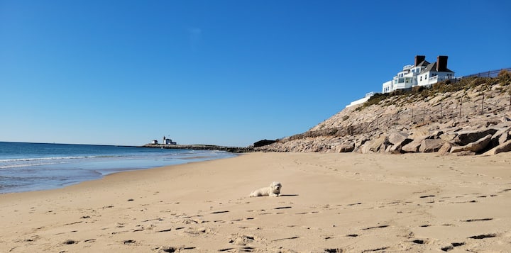 Nuestro perro Charley se relaja en East Beach.