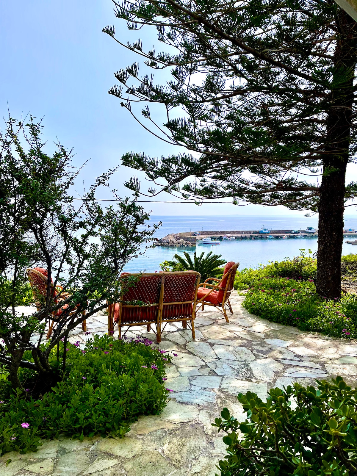 A serene outdoor seating area is positioned among lush greenery, framed by a tree. Woven chairs are arranged around a small table, offering a view of the distant sea and island. The natural stone pathway enhances the tranquil ambiance.