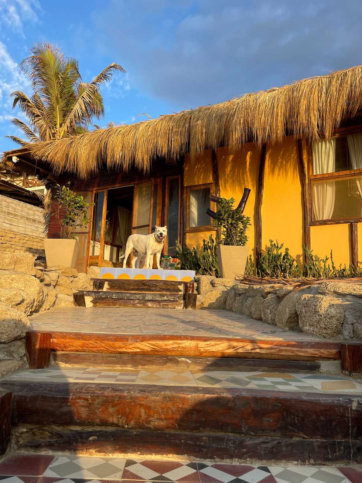 The entrance to the cabin is framed by natural stone steps leading up to a wooden deck. A friendly dog stands on the deck, surrounded by potted plants. Palm trees and a thatched roof can be seen in the background, with soft lighting enhancing the welcoming exterior.