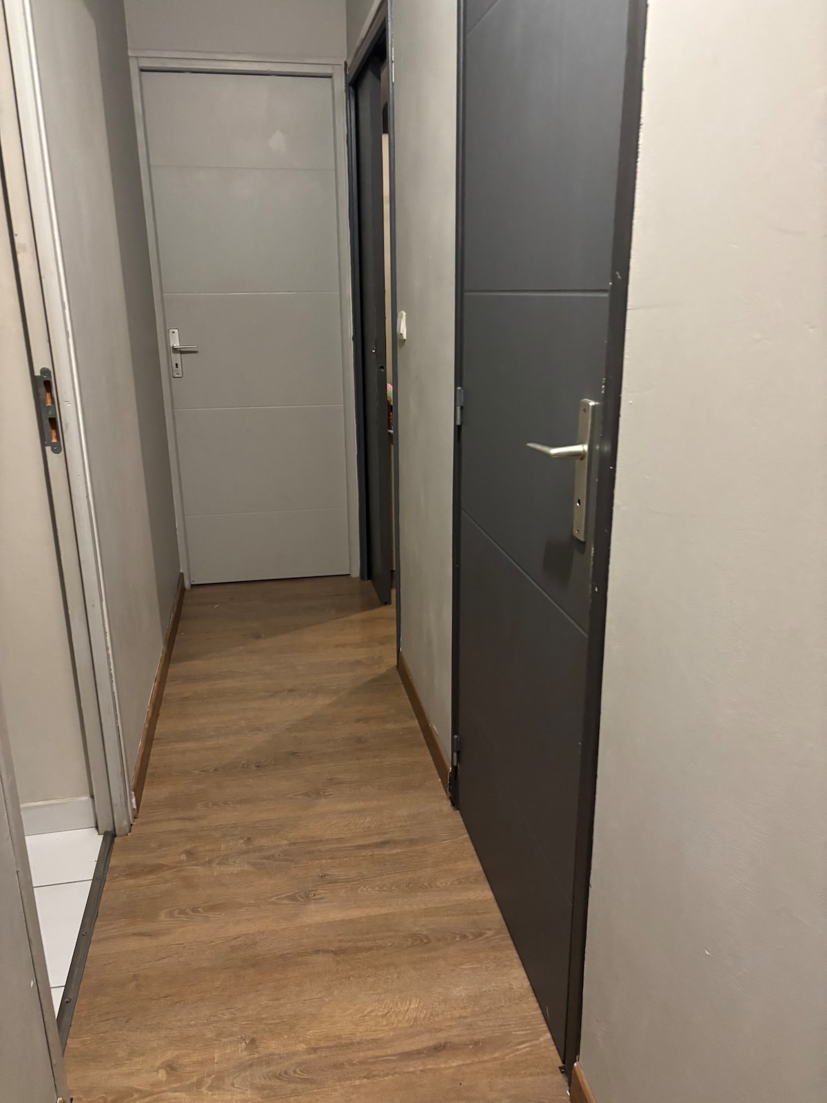A narrow hallway is displayed, featuring a mix of light and dark walls. Doors with handles are visible on both sides, leading to various rooms. The wooden floor adds warmth, while natural light appears to filter in from the entryway at the far end.