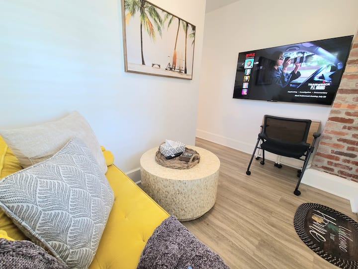 Modern Loft In Central Area - St. Petersburg, FL