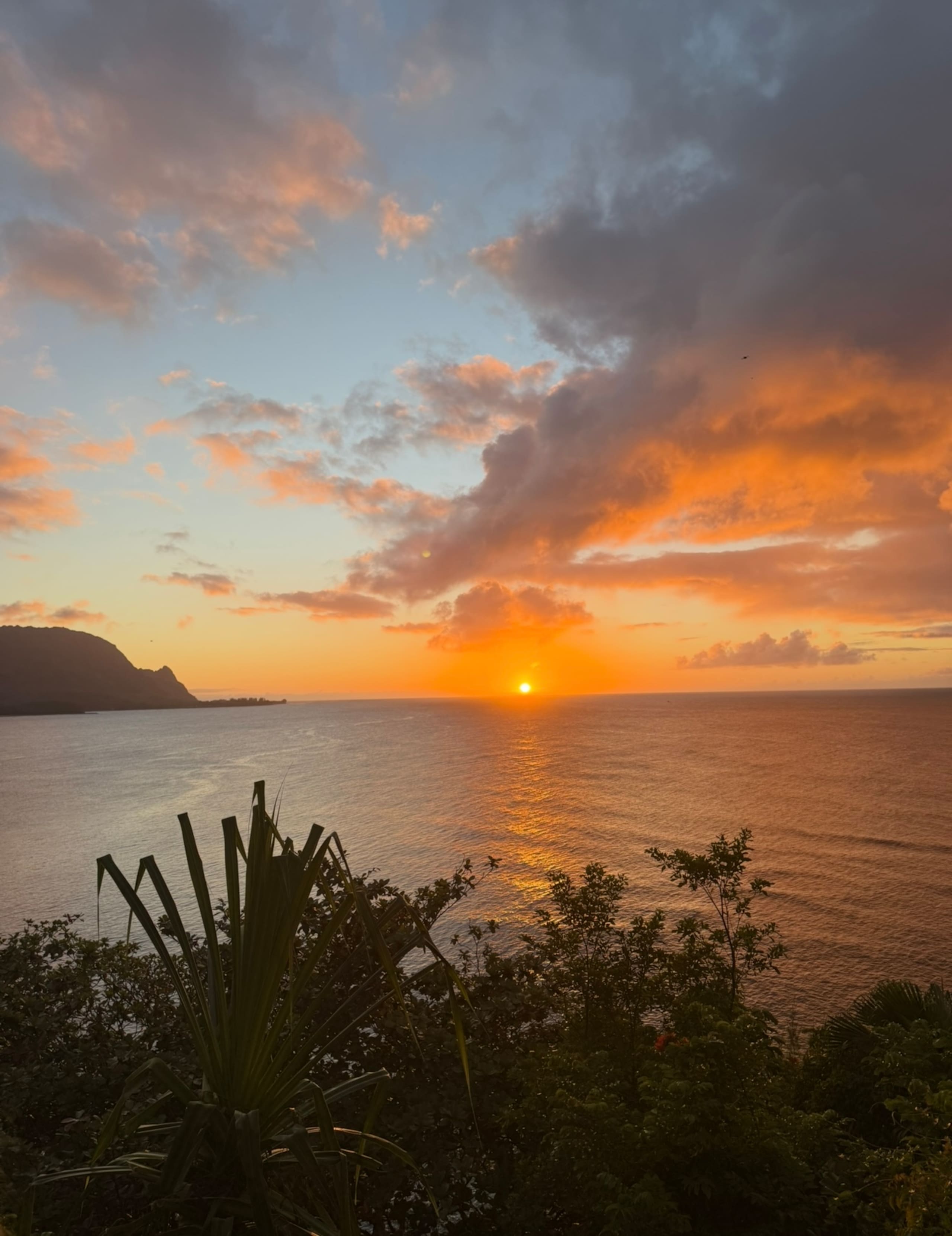 Your Private Kauai Getaway in Princeville - Photo 22