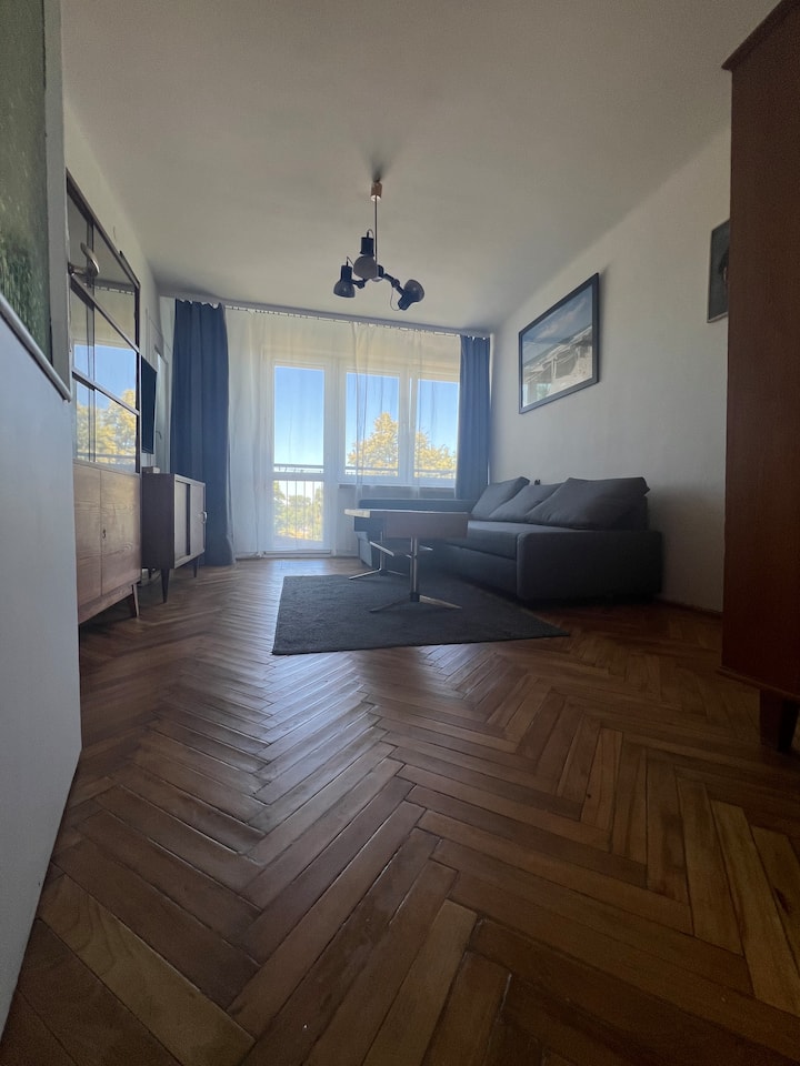 Sebule kubwa yenye televisheni na sakafu ya mbao 