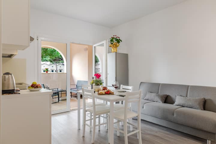 Navigatore 72 - Grosseto