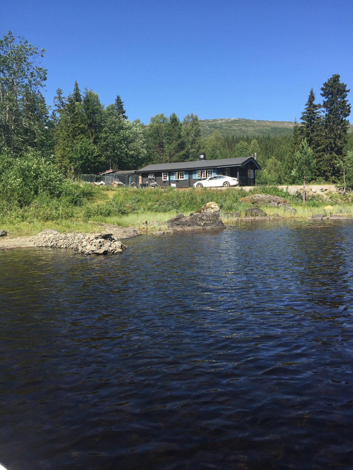 The image depicts a charming black cabin nestled among lush greenery, situated by a body of water. A vehicle is parked outside, and distant hills are visible under a clear blue sky, creating a serene lakeside setting.