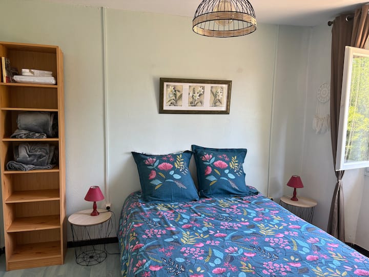 Habitación 1