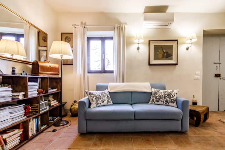 Sebule yenye kitanda cha sofa. 