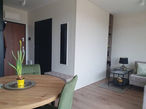 Successful Airbnb property: Studio Central TauronArena in Czyżyny