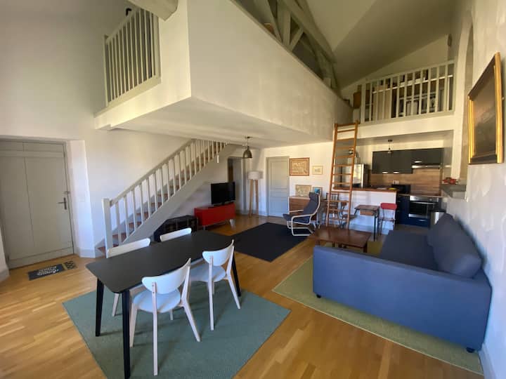 Grand Appartement Atypique - Espelette